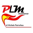 PLM ASSISTANCE DI MICHELE PIETRAFESA